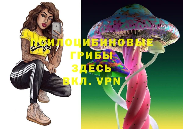 Альфа ПВП Нягань