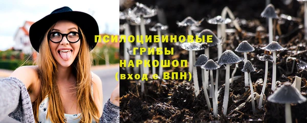 экстази Новодвинск