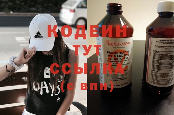 индика Иноземцево