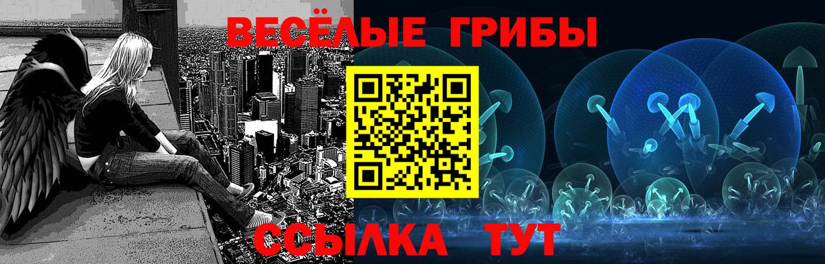 Галлюциногенные грибы Magic Shrooms  Псилоцибиновые грибы Cubensis  Татарск 